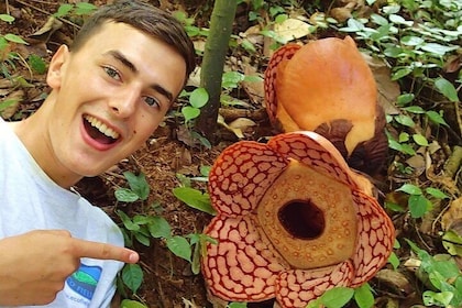 Rafflesia Trek Seekers at Perak (from KL)