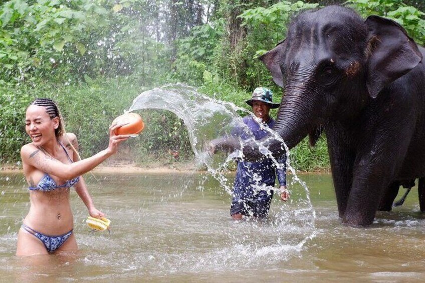 Elephant Sanctuary