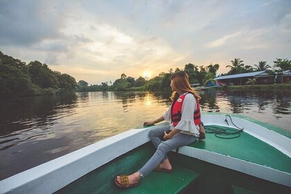 Klias River Fireflies & Wildlife Safari Cruise from Kota Kinabalu