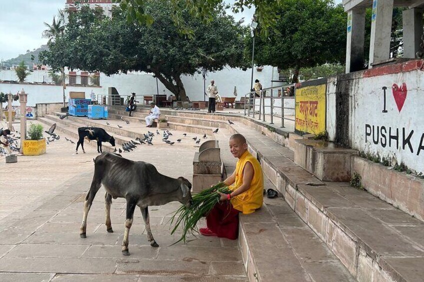 City Walking Tour-THE Pushkar Route