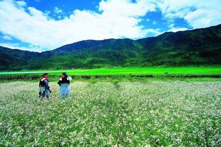 Private trekking tour to Wenhai lake from Lijiang half day service