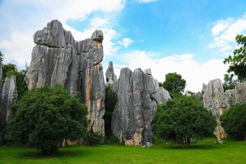 4days private tour Stone forest Yuanyang Terrace Jianshui old town from Kunming