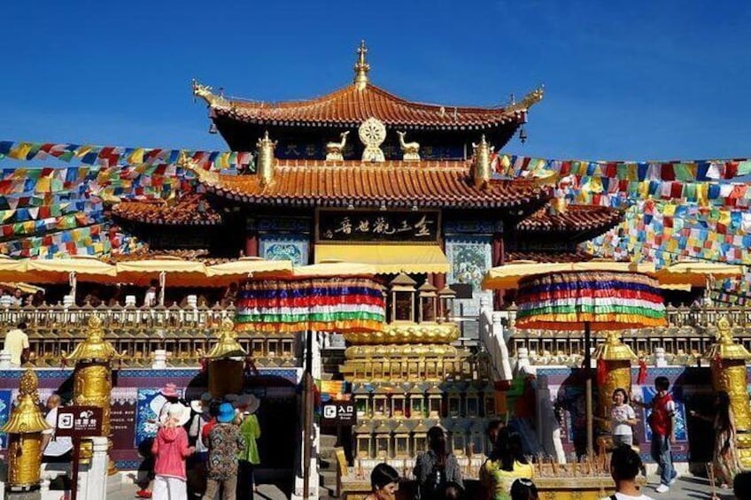 Private day tour to Nanshan temple and Tianyahaijiao with Lunch start from Sanya