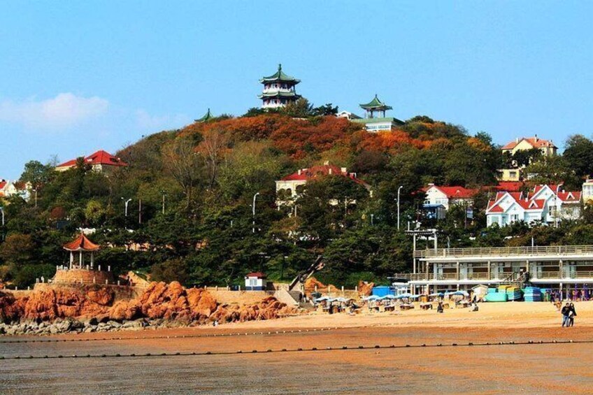 Qingdao private half day tour with Tsingdao Beer Lunch