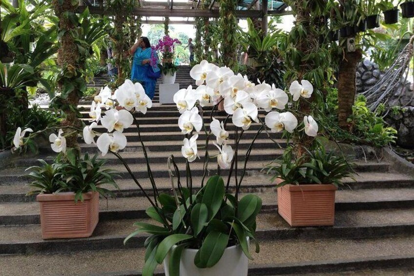 Taman Orkid & Bunga Raya