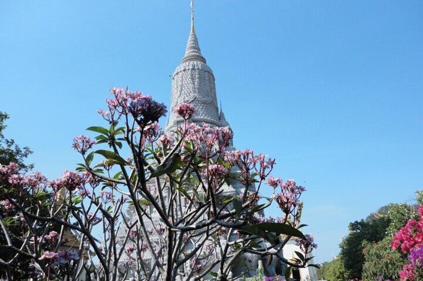 Phnom Penh Vital Discovery-Full Day Tour (Including all services)