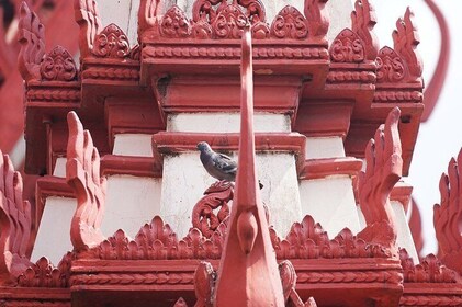 Excursiones de día completo en la ciudad de Phnom Penh