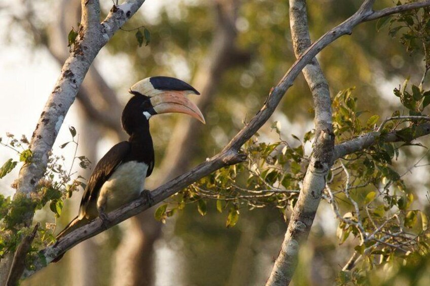 Wilpattu National Park