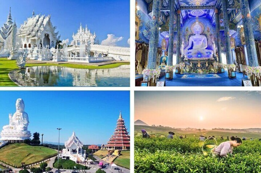 White Temple, Blue Temple, Wat Huay Pla Kang, Tea Plantation