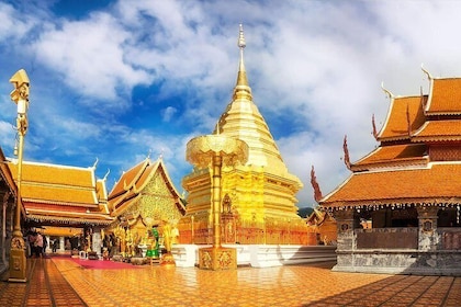 Private Chiang Mai City Tour with Wat Doi Suthep, Wat Suan Dok & Lunch(SHA ...
