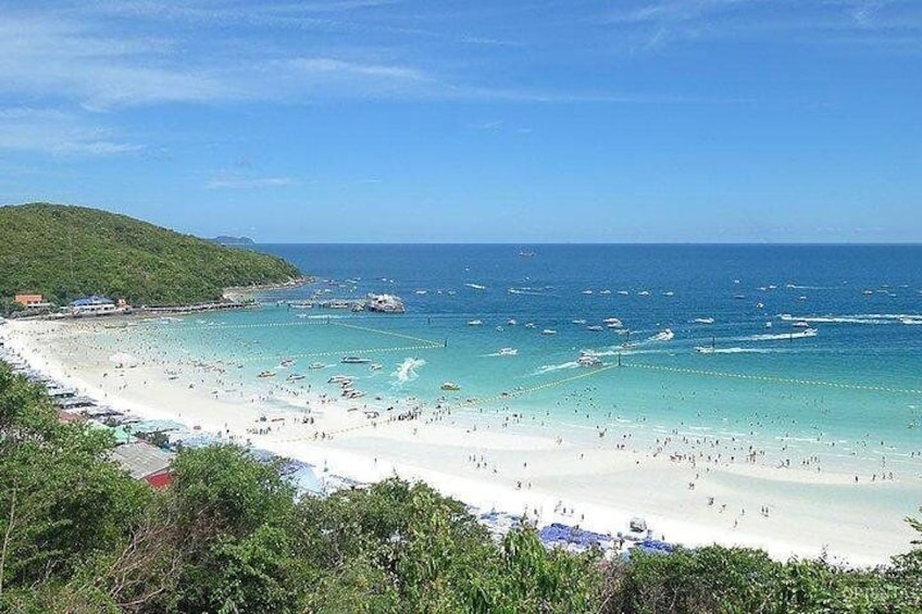 Join coral island by speed boat with Indian Lunch in Pattaya half day trip