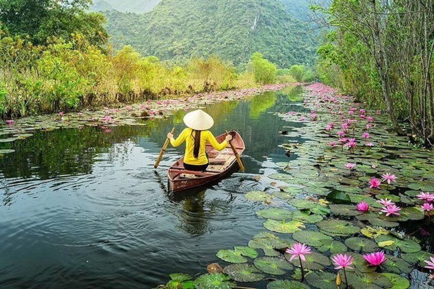 stream to pagoda