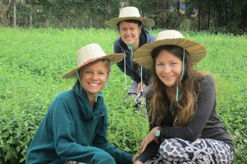 Ox-cart Culture Tour, Countryside Experince in Siem Reap