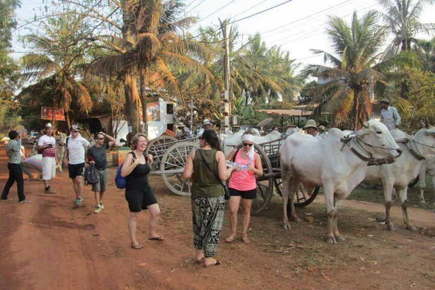 Ox-cart Culture Tour, Countryside Experince in Siem Reap