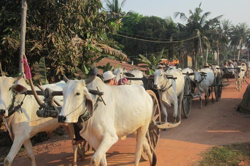 Ox-cart Culture Tour, Countryside Experince in Siem Reap