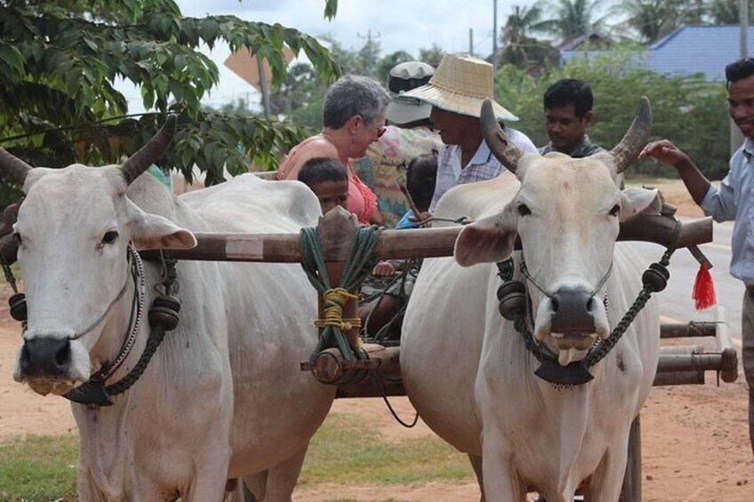 Ox-cart Culture Tour, Countryside Experince in Siem Reap