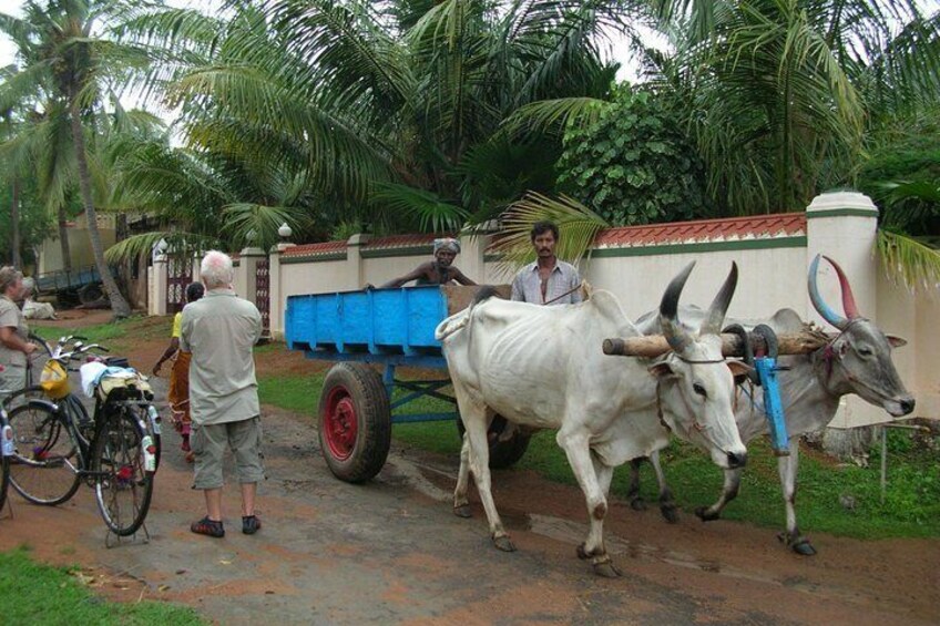 Village Bike tour in Mamallapuram