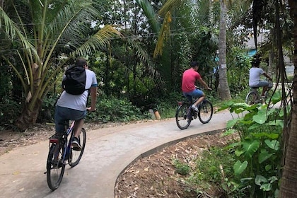 私人非旅遊湄公河三角洲，騎自行車1天