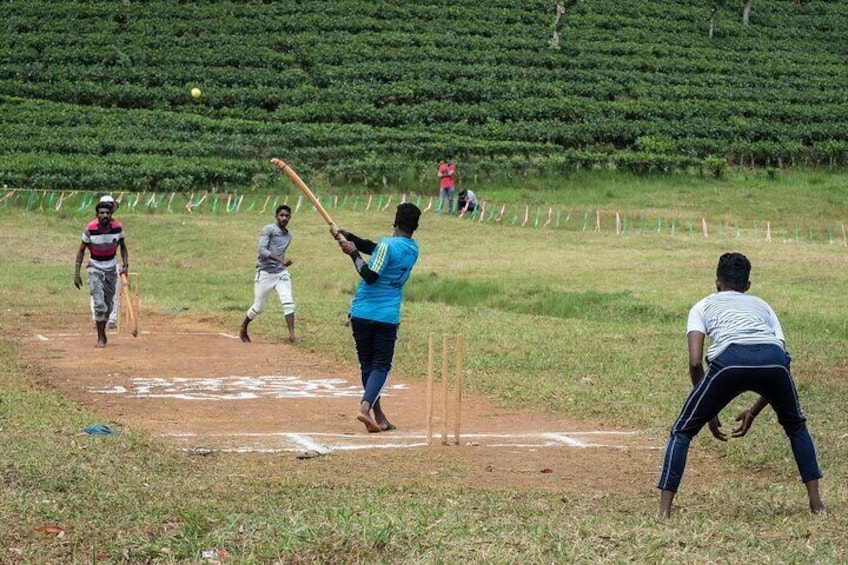 Sri Lankan Cricket Experience