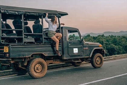 Safari nel Parco Nazionale Udawalawe con visita alla casa di transito degli...