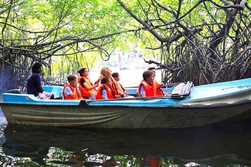 Galle Day Tour from Colombo or Negombo by Private Car , Van with Driver