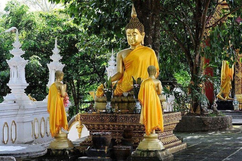 Chiang Rai One Day Tour from Chiang Mai including White Temple & Golden Triangle