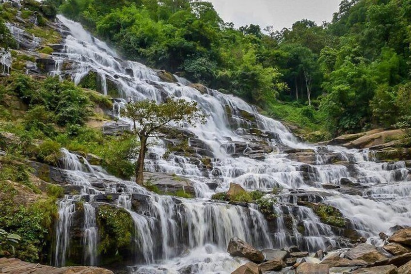Doi Inthanon National Park Full Day Tour from Chiang Mai