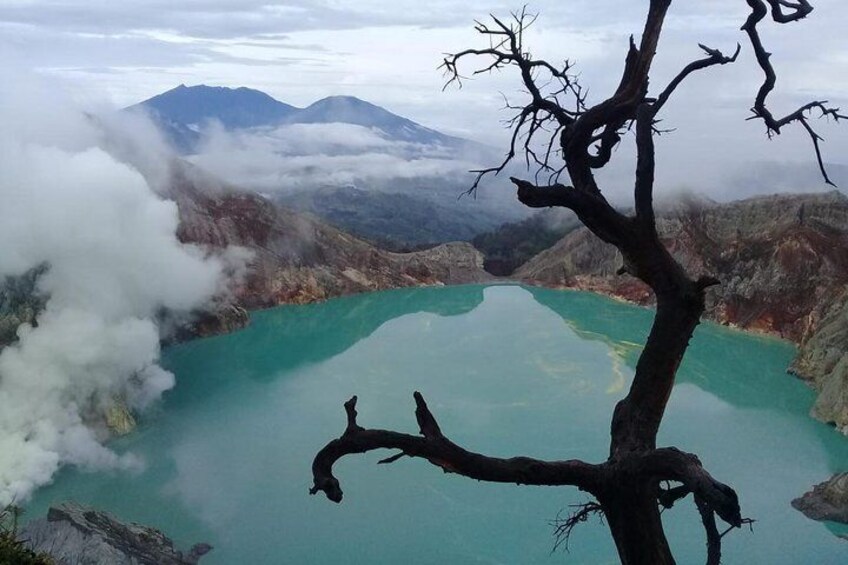 Bromo Ijen Trekking Tour From Bali