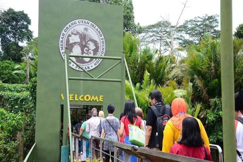 Spend the day with memorable memories at Bukit Merah Orang Utan Island Foundation