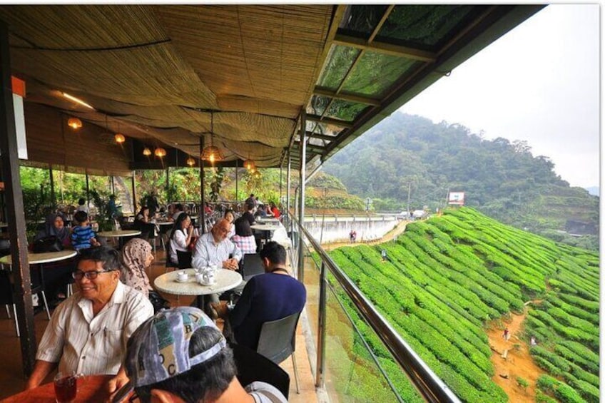 Cameron Highlands Day Tour From Kuala Lumpur (Private Tour)