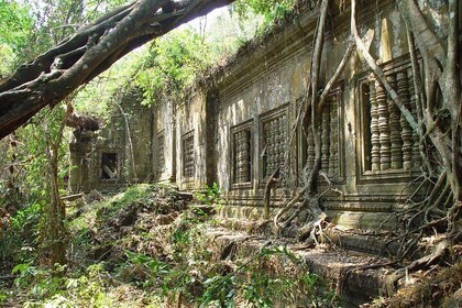 Privat tur til Beng Mealea Jungle Temple og Koh Ker