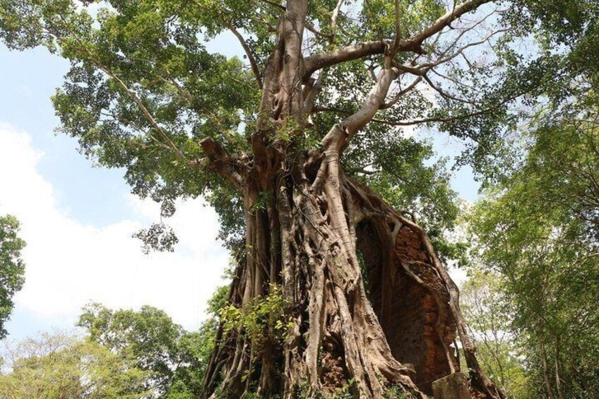 Private Sambor Prei Kuk Temple Tour