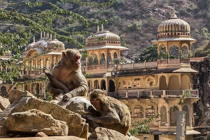 Heldags privat stadsrundtur i Jaipur