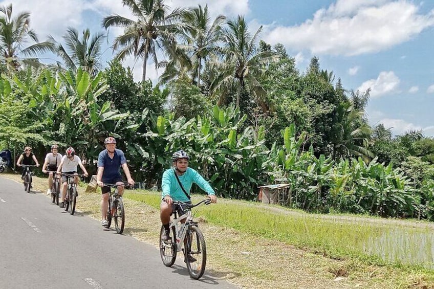 Bali Natural Bike tour Through Countryside In Ubud