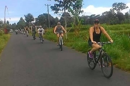Tour ciclistico culturale in discesa di Ubud con rurale e pasto