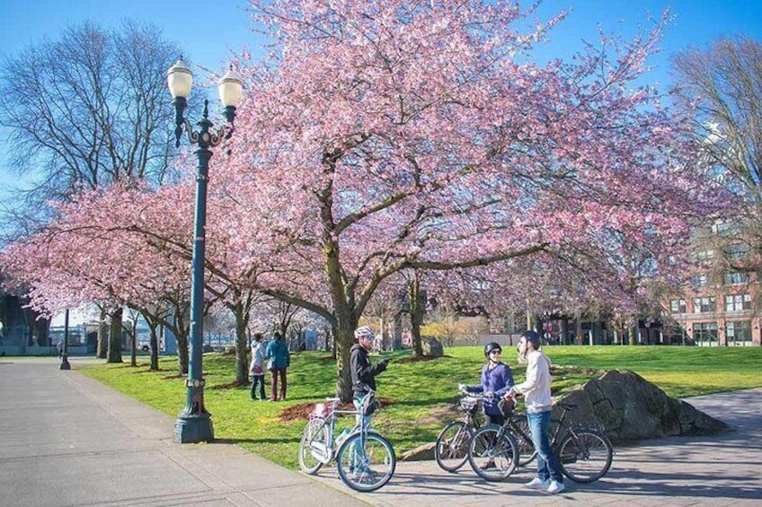Explore Portland by Bike!
