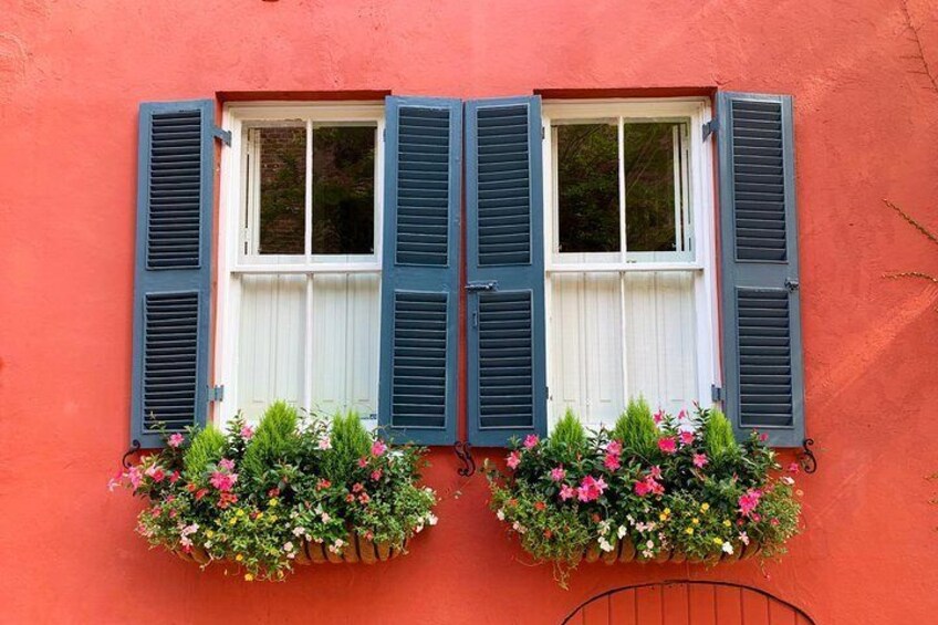 Window Boxes