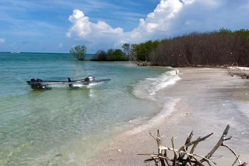 Enjoy the clear water of Shell Key