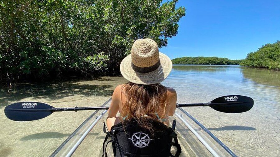 Take in Florida's natural beauty!