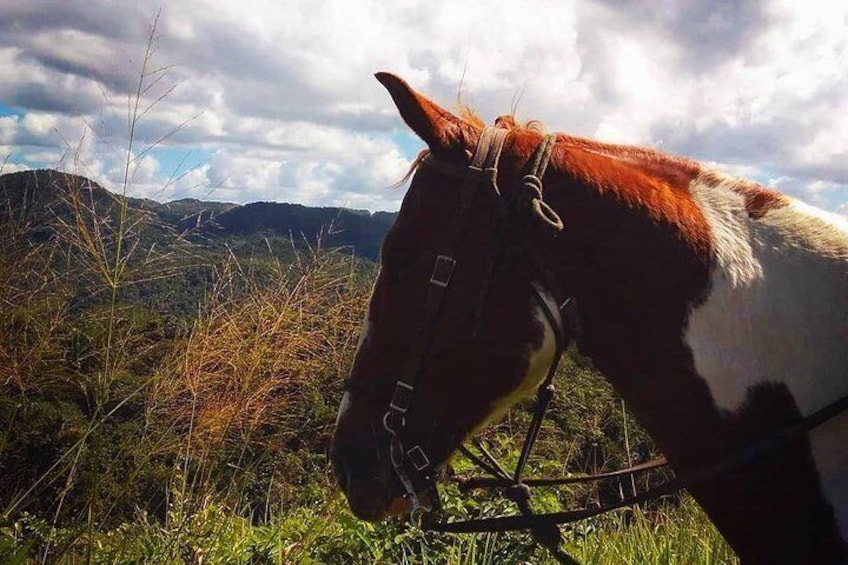 Horseback Ride to the Forgotten Jungle City