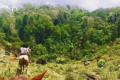 Horseback Ride to the Forgotten Jungle City