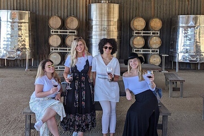Valle De Guadalupe Wine and Food Tour From San Diego 