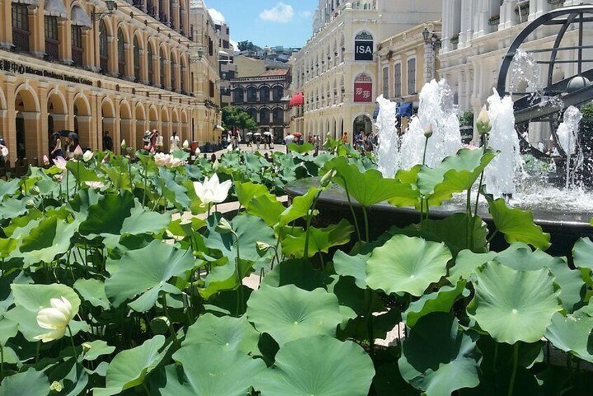 Centre town of Macau