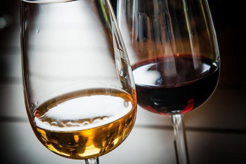 Taste and lehttps://media-cdn.tripadvisor.com/media/attractions-splice-spp-720x480/0a/68/04/f0.jpgarn about wine and this wine region