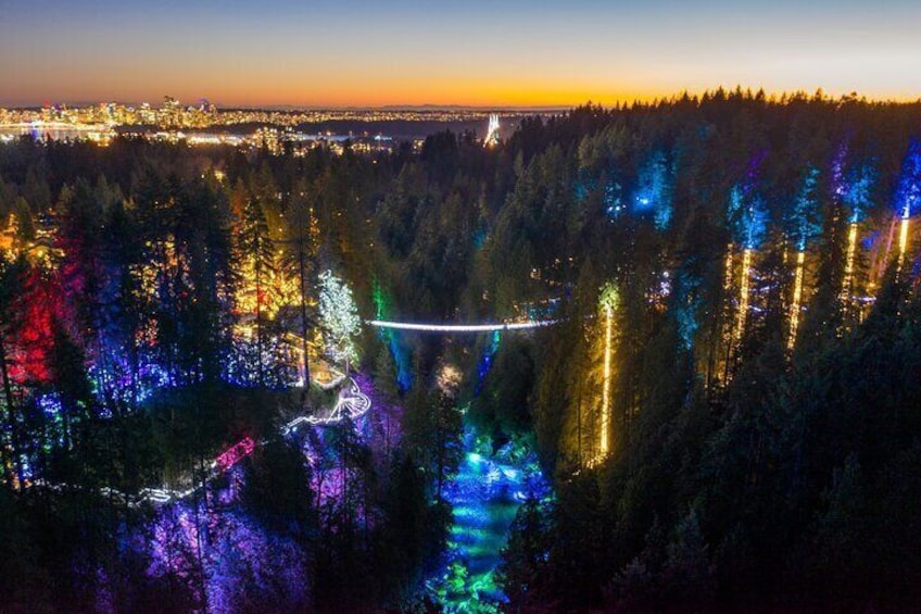 Private Tour: Capilano Suspension Bridge and Grouse Mountain