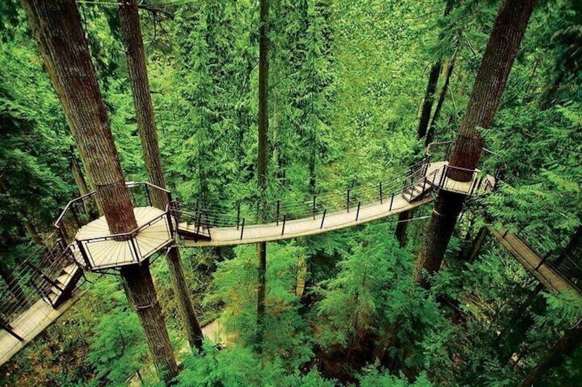 Private Tour: Capilano Suspension Bridge and Grouse Mountain