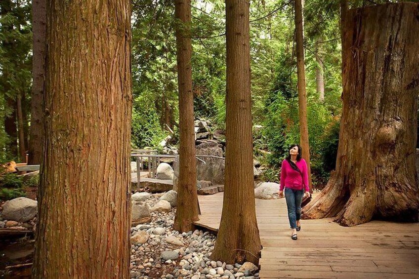 Private Tour: Capilano Suspension Bridge and Grouse Mountain