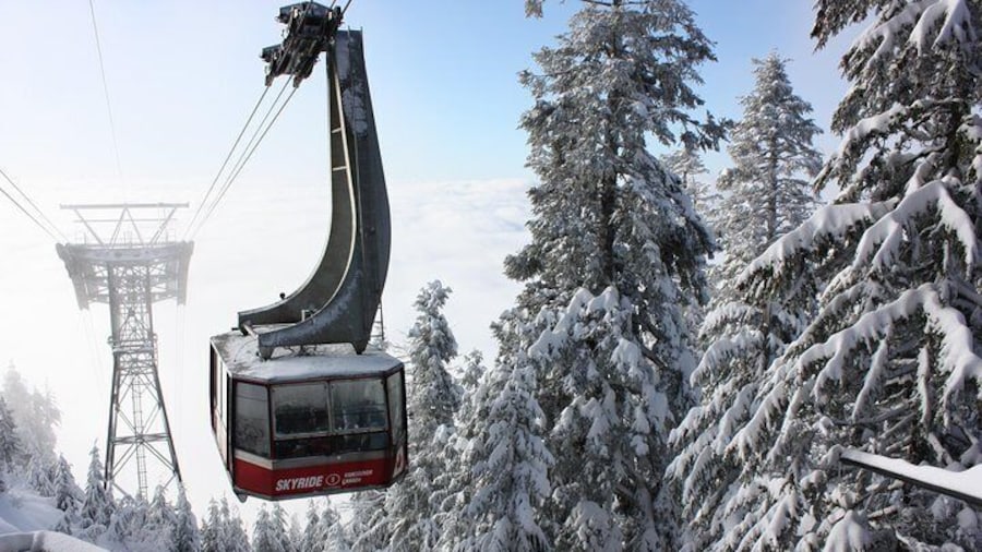 Private Tour: Capilano Suspension Bridge and Grouse Mountain