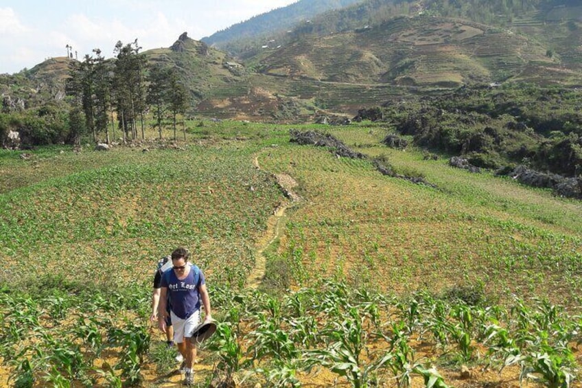 2 days authentic trekking tour in Sapa ( Homestay - Less touristy )