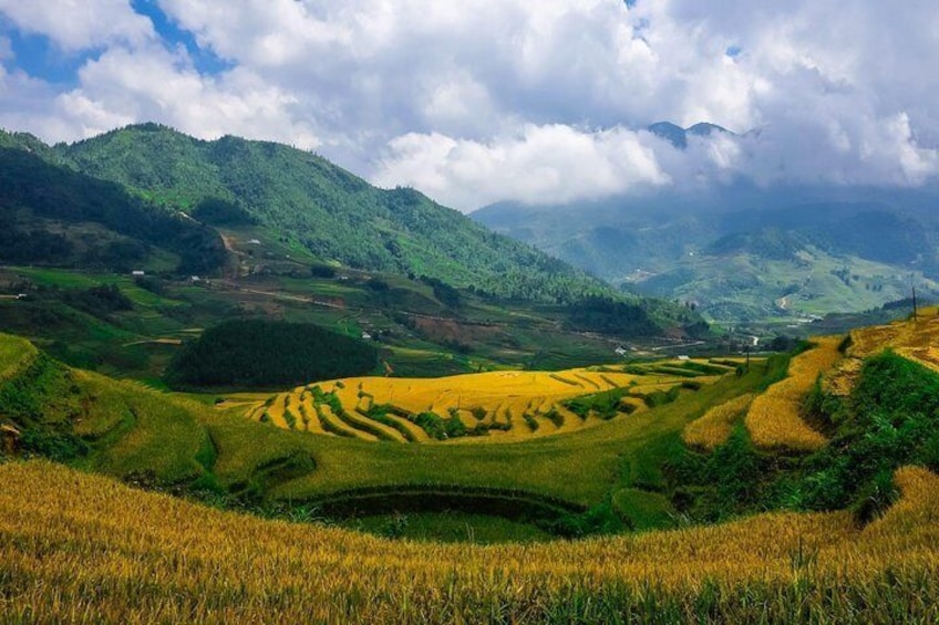 2 days authentic trekking tour in Sapa ( Homestay - Less touristy )